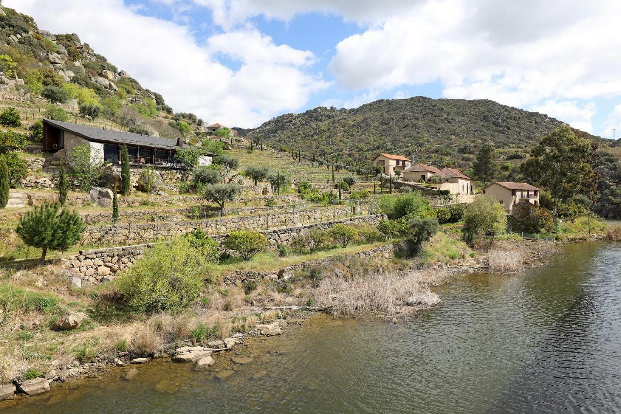 Quinta Da Ferradosa Wines Guest House เซาโจเอา ดา เปชเกรา ภายนอก รูปภาพ