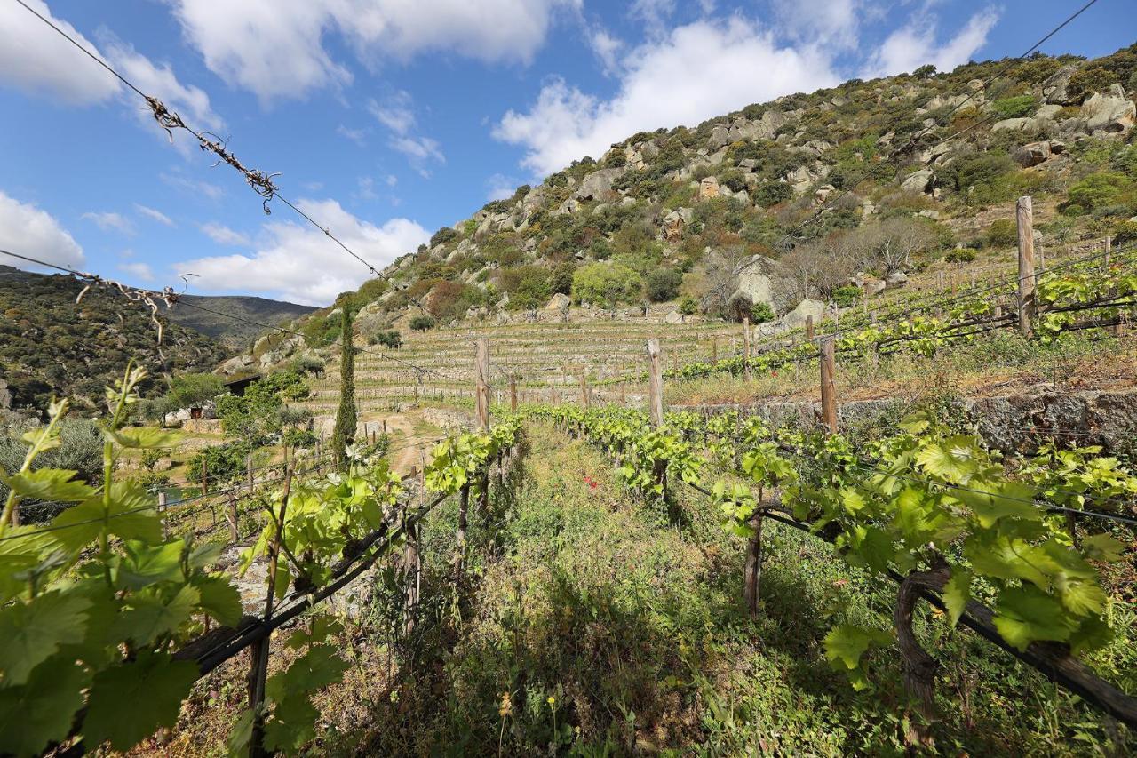 Quinta Da Ferradosa Wines Guest House เซาโจเอา ดา เปชเกรา ภายนอก รูปภาพ