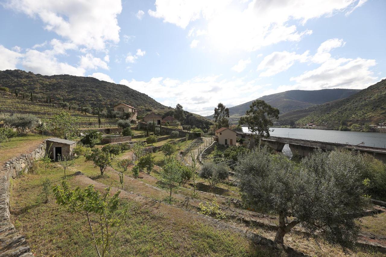 Quinta Da Ferradosa Wines Guest House เซาโจเอา ดา เปชเกรา ภายนอก รูปภาพ