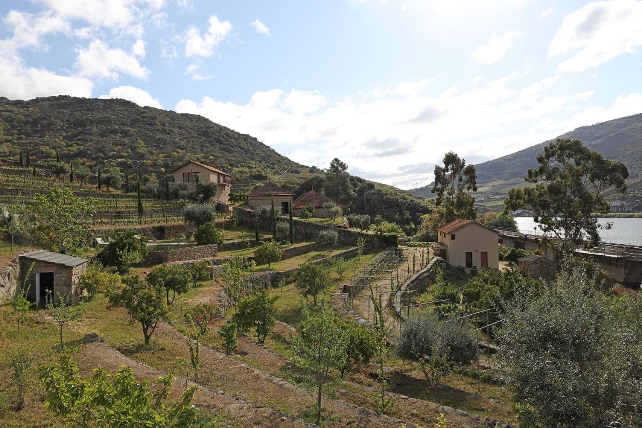 Quinta Da Ferradosa Wines Guest House เซาโจเอา ดา เปชเกรา ภายนอก รูปภาพ