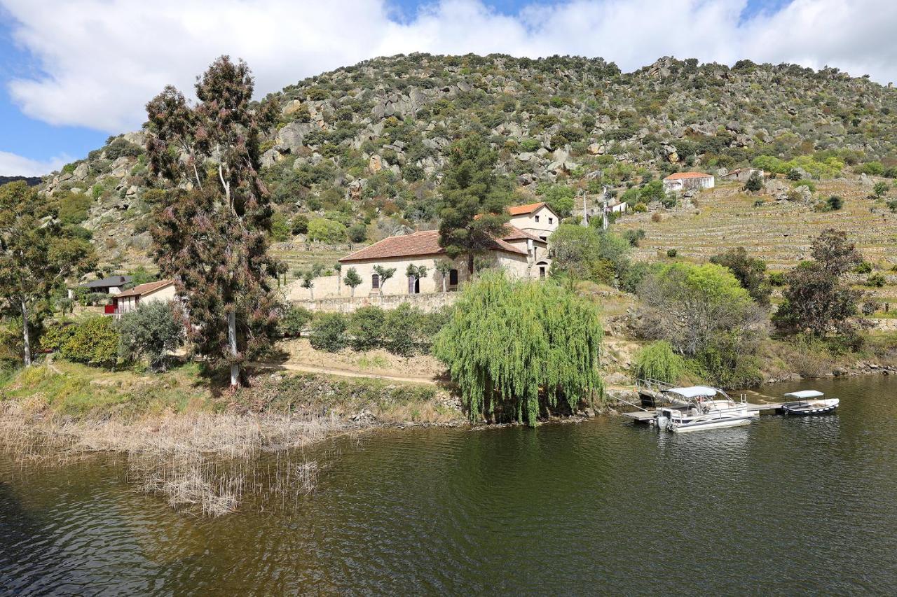 Quinta Da Ferradosa Wines Guest House เซาโจเอา ดา เปชเกรา ภายนอก รูปภาพ