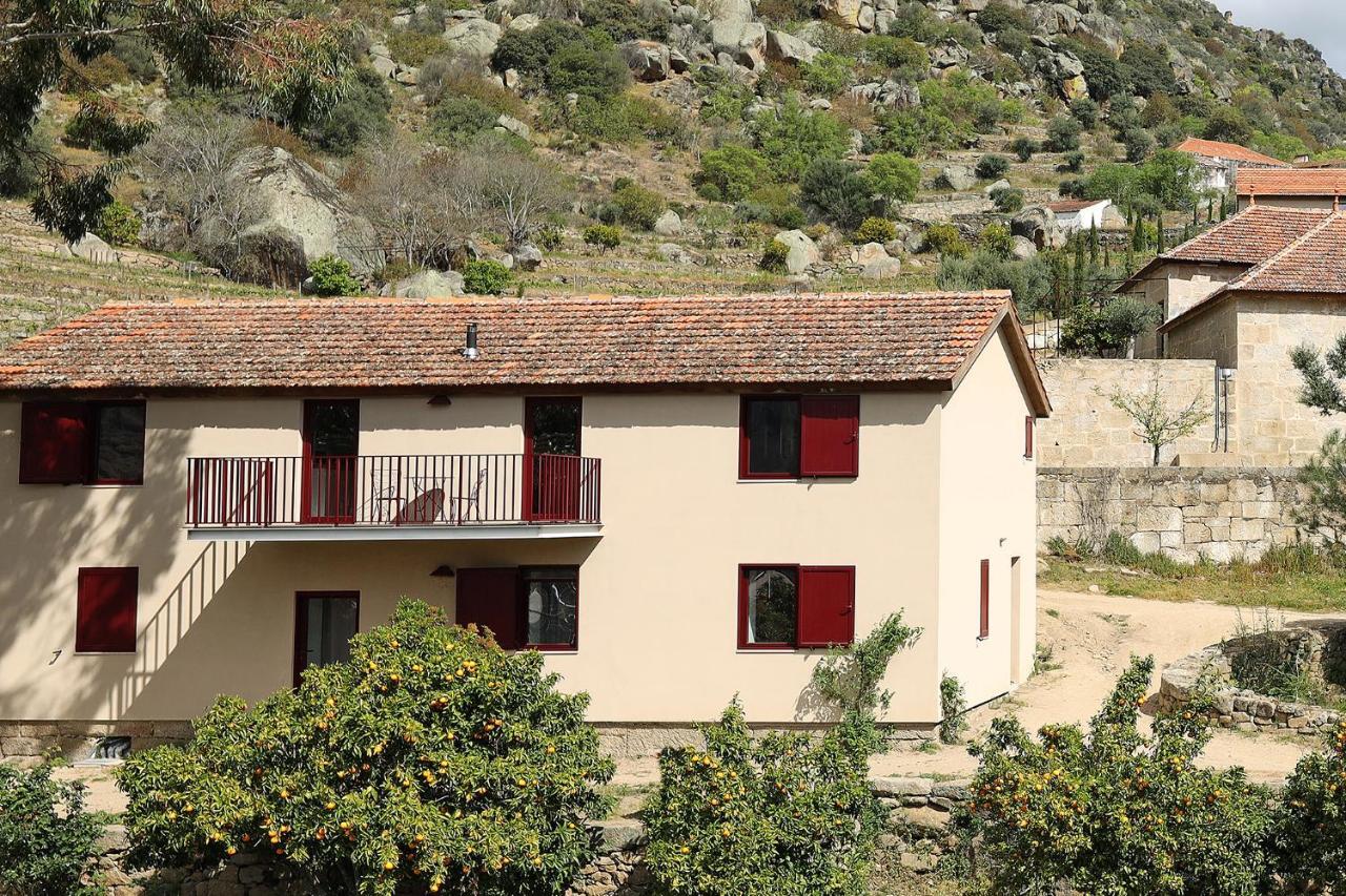Quinta Da Ferradosa Wines Guest House เซาโจเอา ดา เปชเกรา ภายนอก รูปภาพ