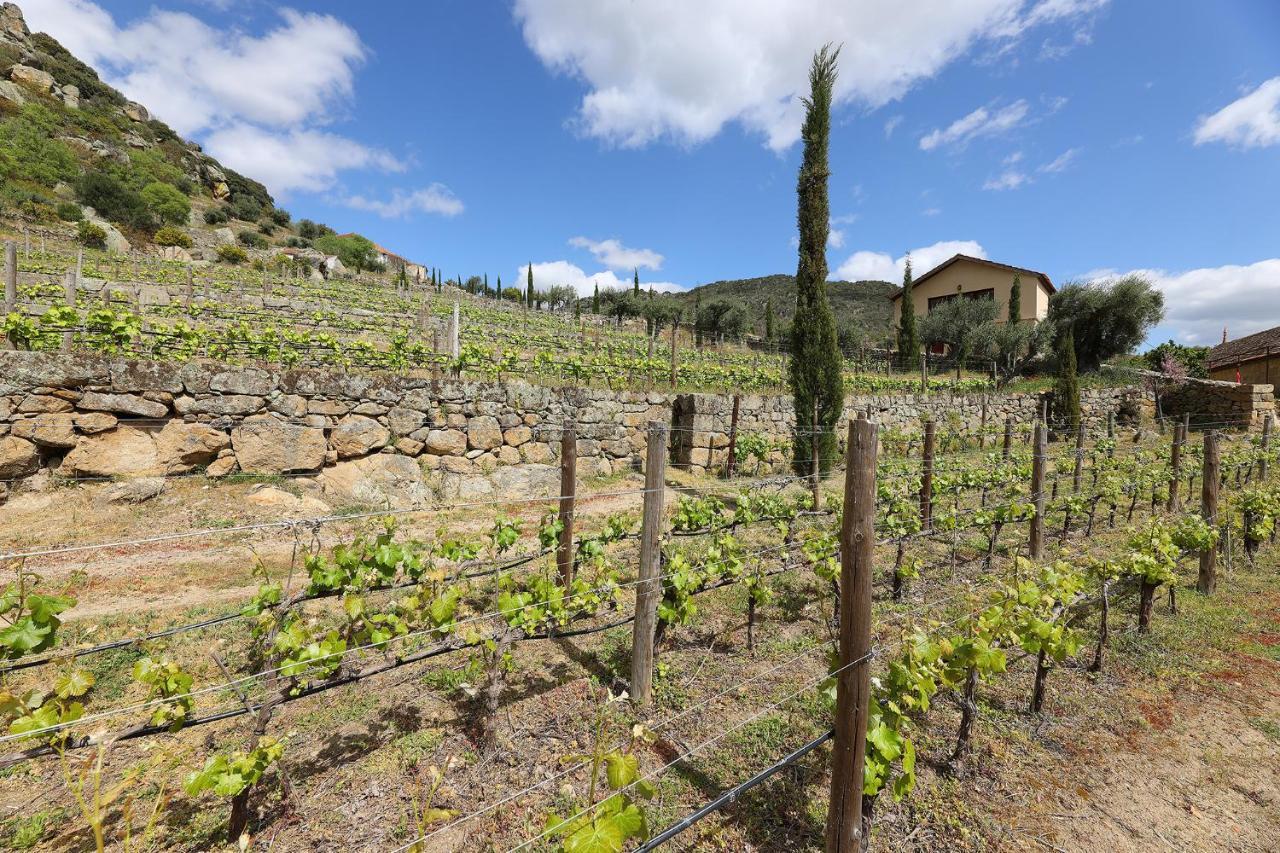 Quinta Da Ferradosa Wines Guest House เซาโจเอา ดา เปชเกรา ภายนอก รูปภาพ