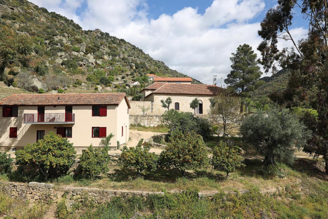 Quinta Da Ferradosa Wines Guest House เซาโจเอา ดา เปชเกรา ภายนอก รูปภาพ