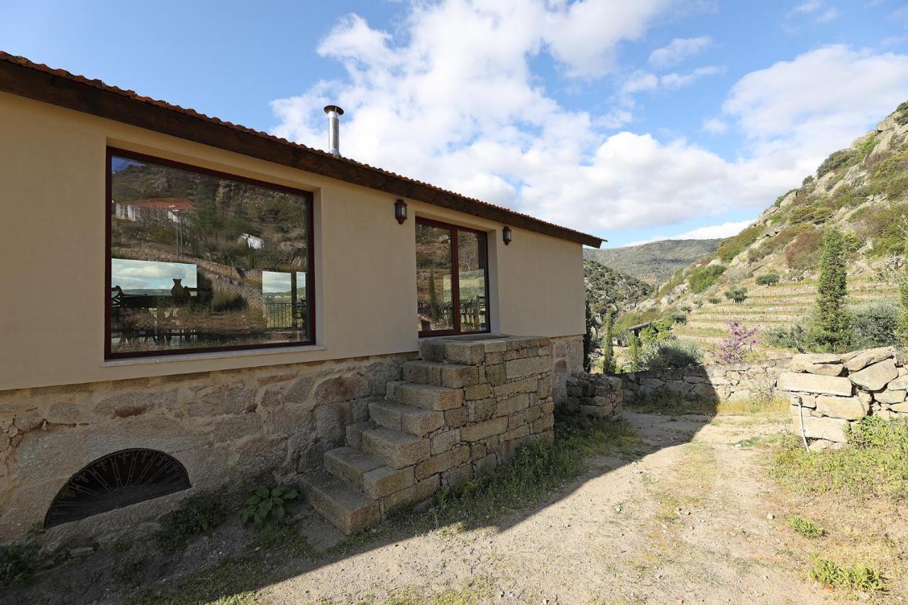 Quinta Da Ferradosa Wines Guest House เซาโจเอา ดา เปชเกรา ภายนอก รูปภาพ
